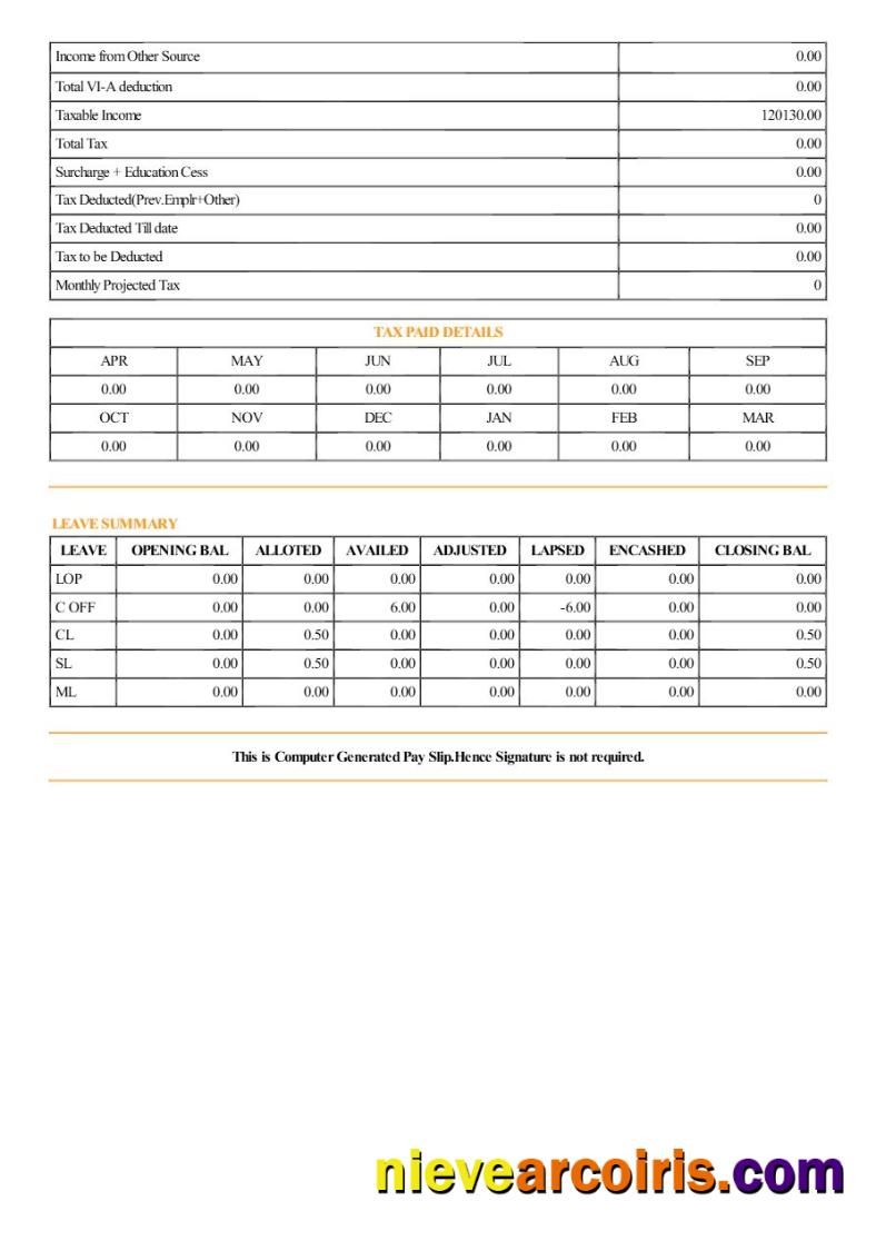 Patil Rail Infrastructure payslip 2